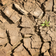 Illustration for article titled How to Conserve Water During a Drought